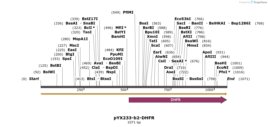 317601_map