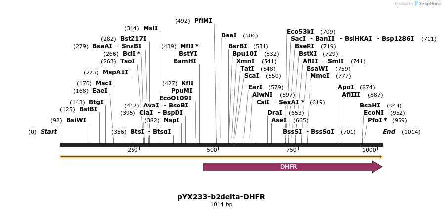 317604_map