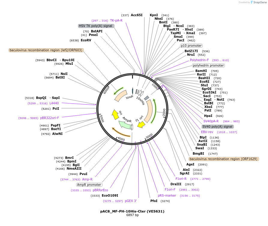 317609_map