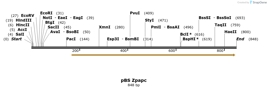31761_map
