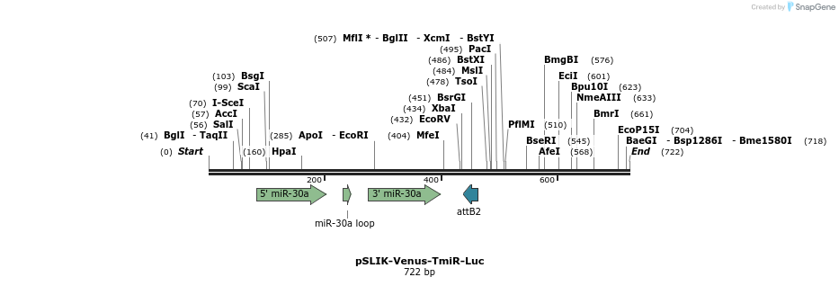 31766_map