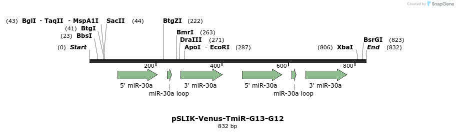 31769_map