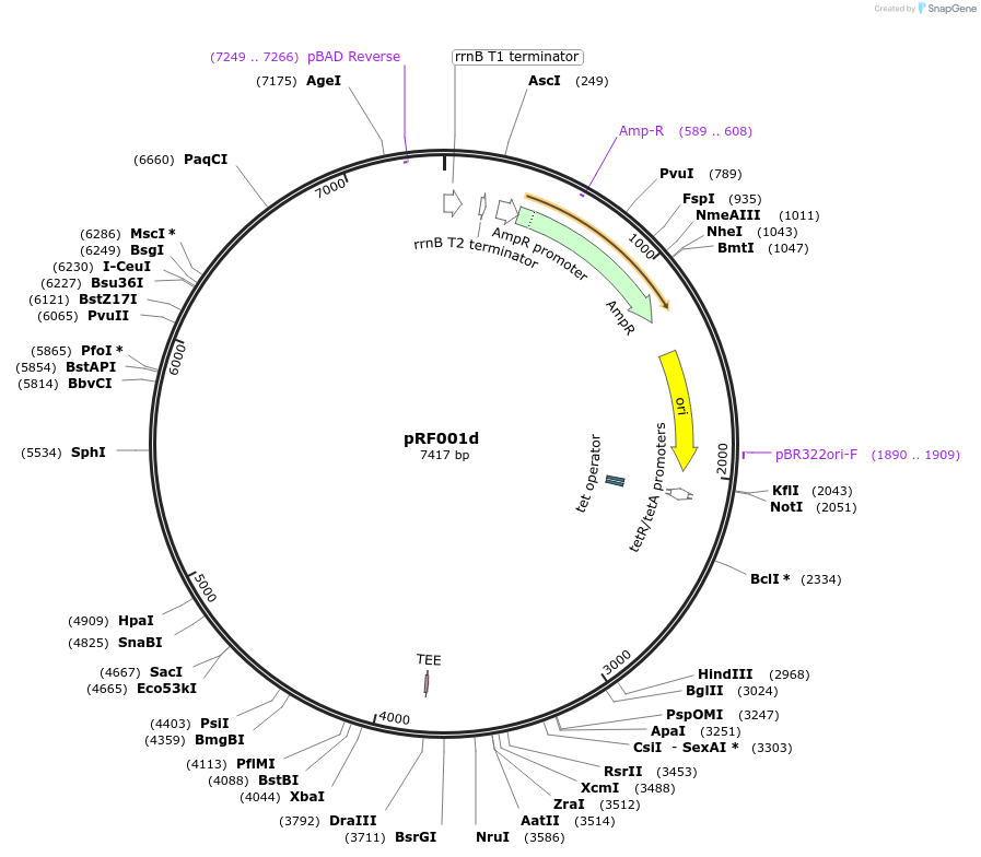 317700_map