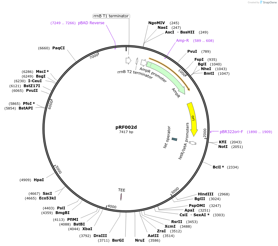 317702_map