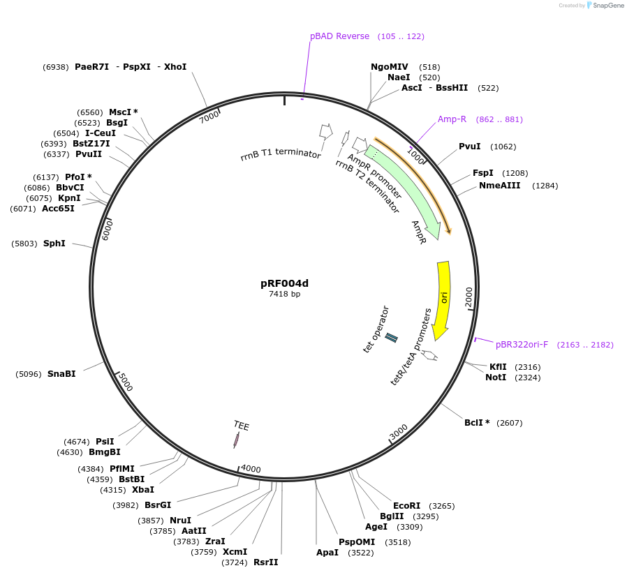 317705_map