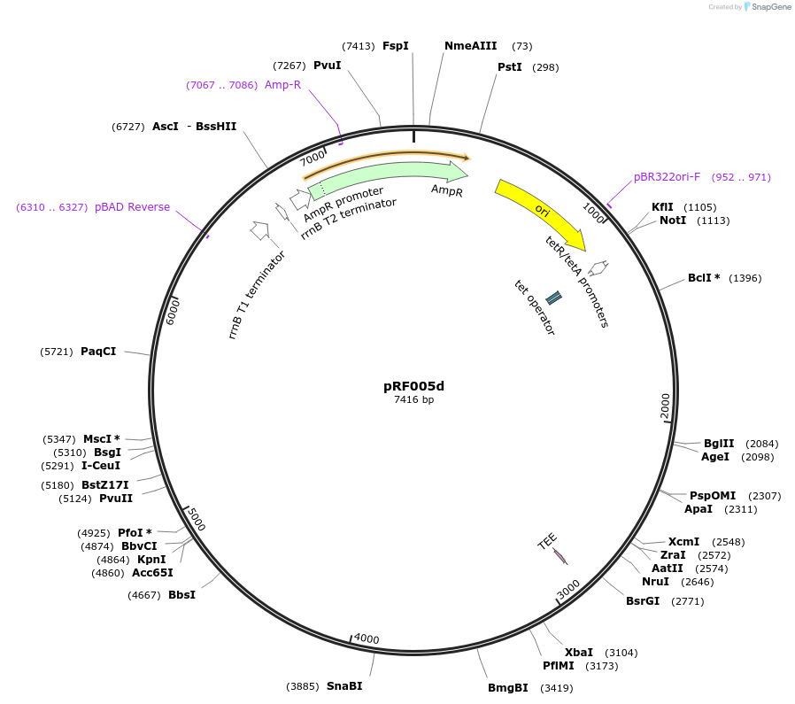 317706_map