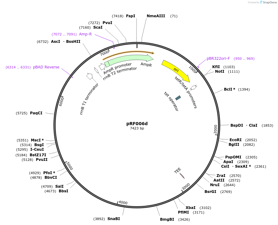 317707_map