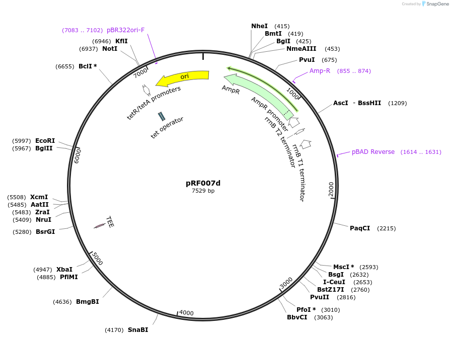 317708_map
