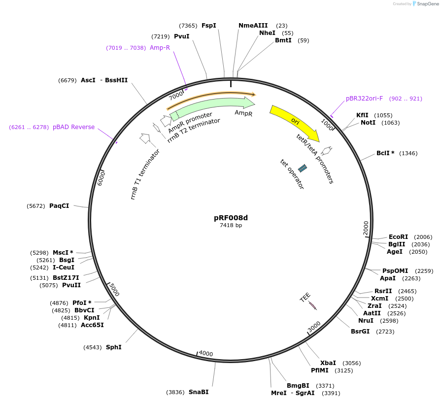 317709_map