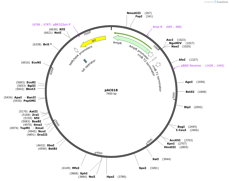 317749_map