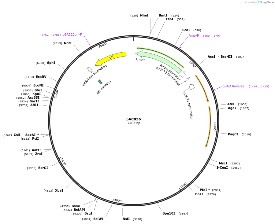 317756_map