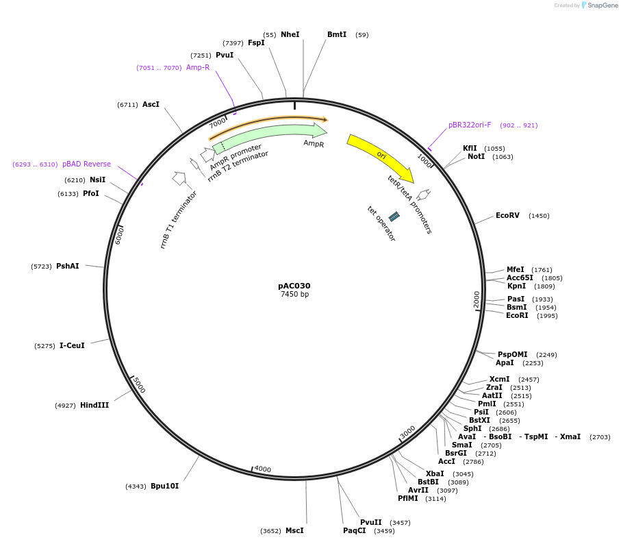 317757_map