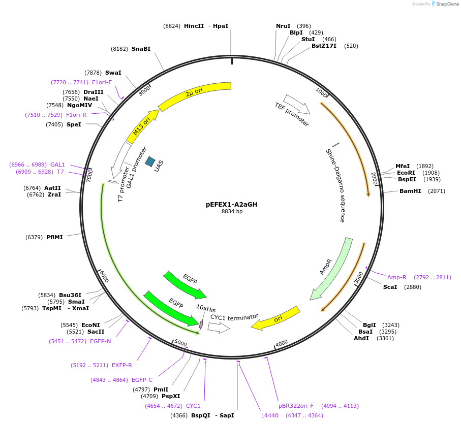 317760_map