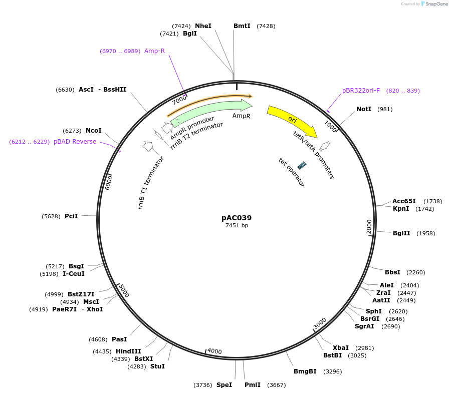 317761_map