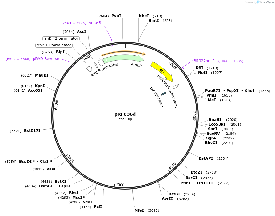 317762_map