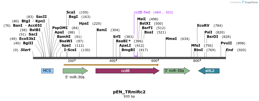 31777_map