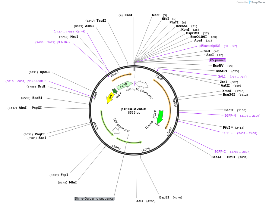 317791_map