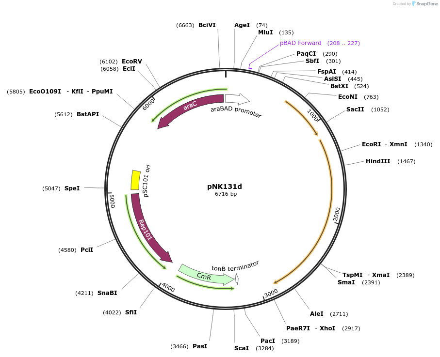 317792_map