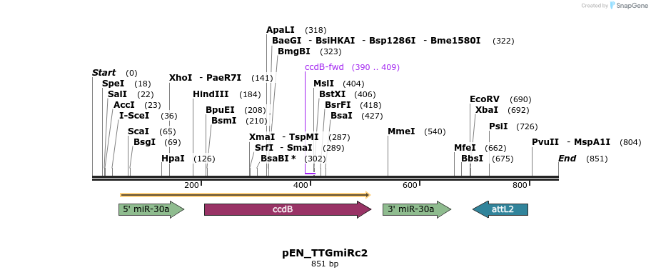 31780_map