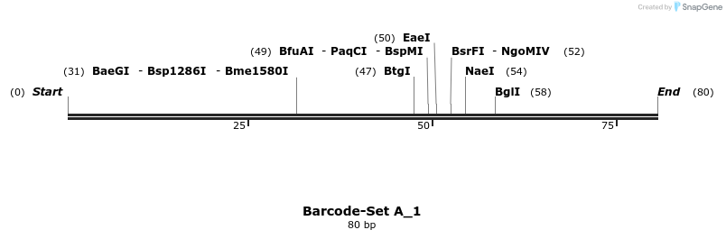 317819_map