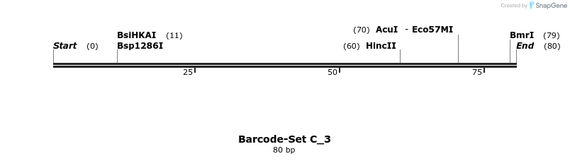 317835_map