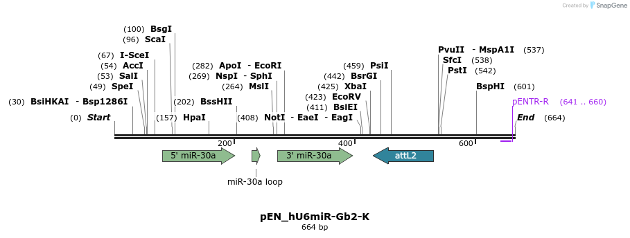 31786_map