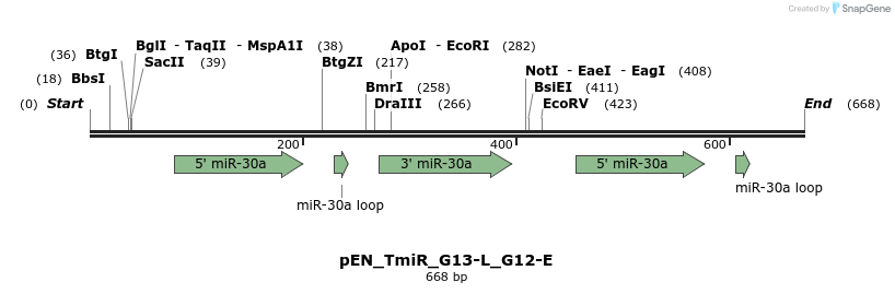 31790_map