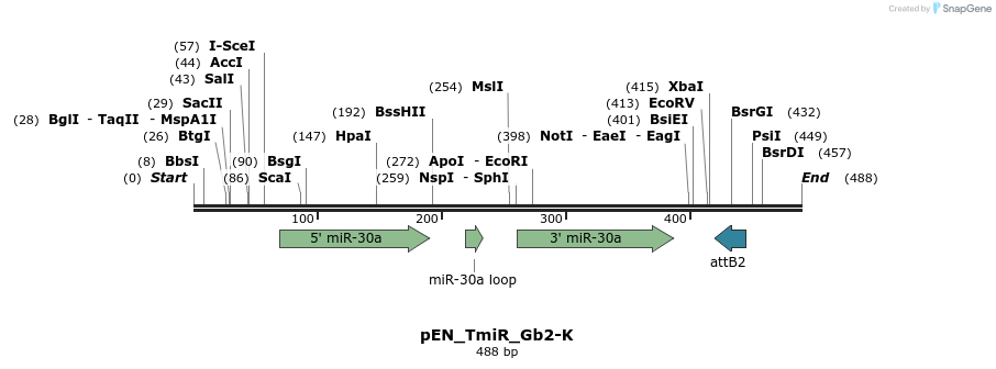 31791_map