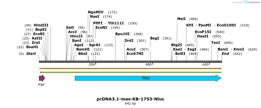 317956_map