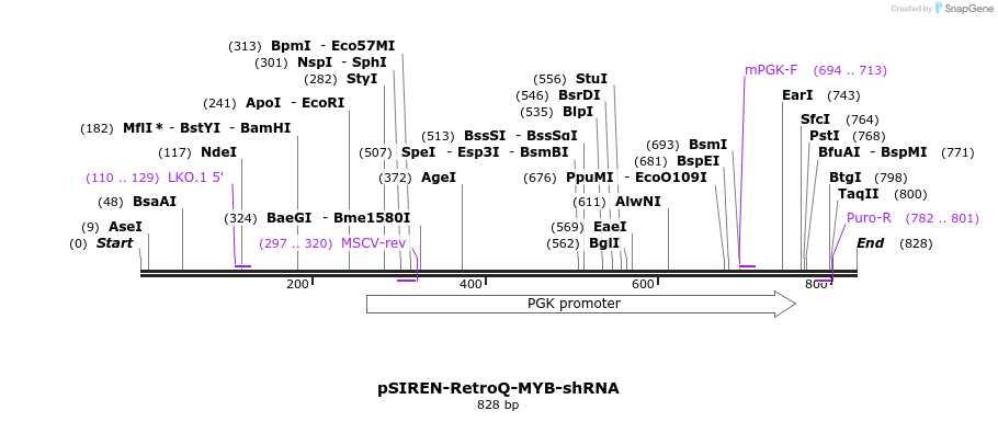 31796_map