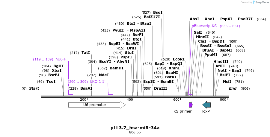 31799_map
