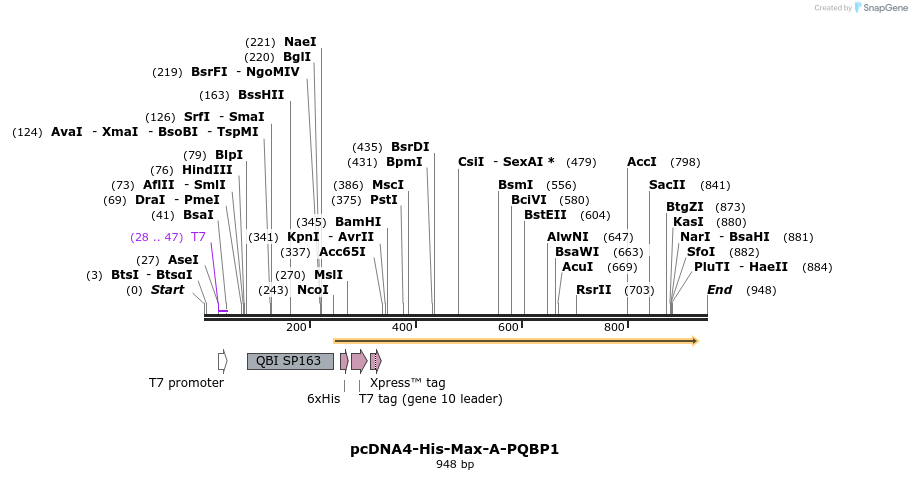 31803_map