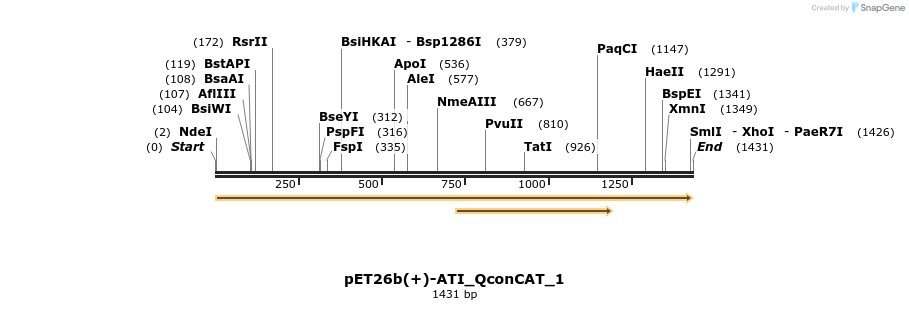 318087_map