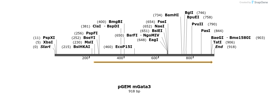31811_map