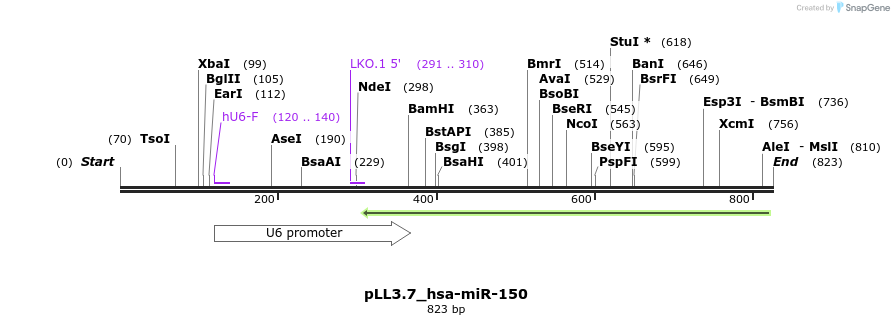 31812_map
