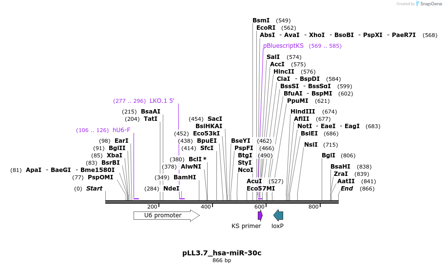 31813_map