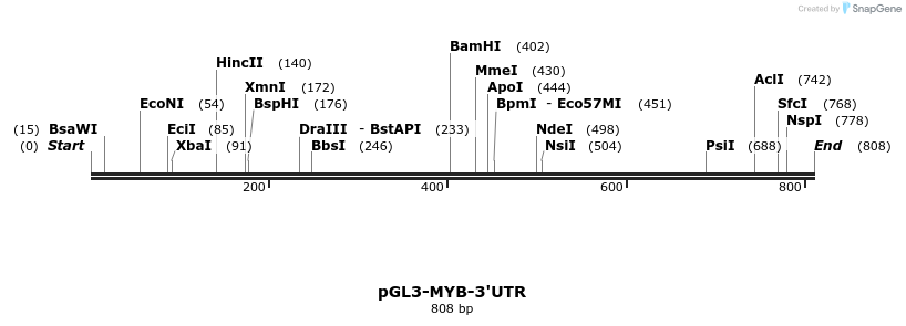 31814_map