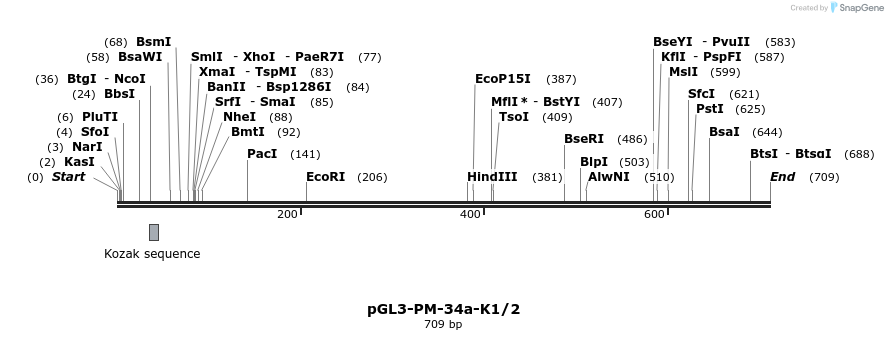 31816_map