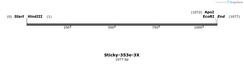 318164_map