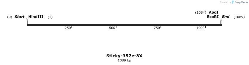 318165_map