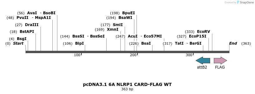 318197_map