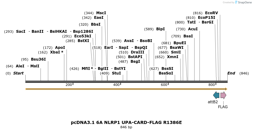 318199_map