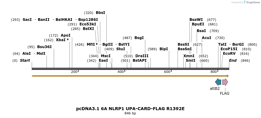 318200_map