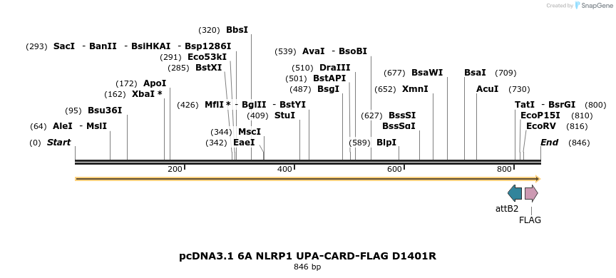318202_map