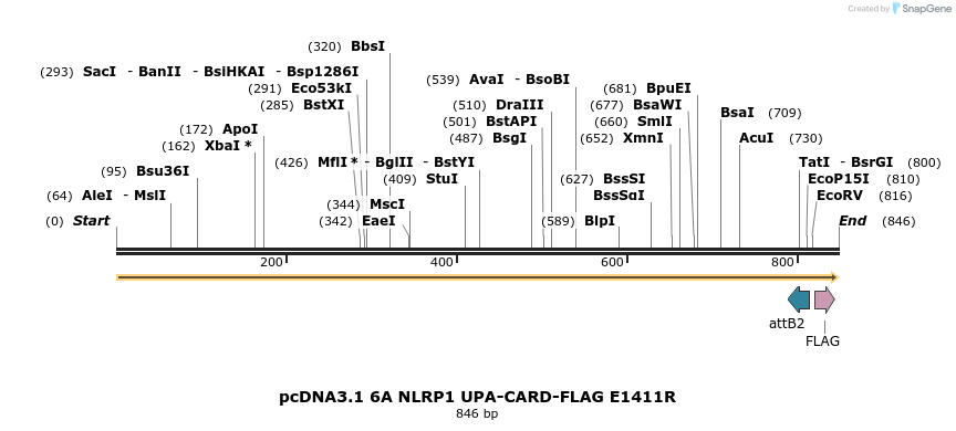 318203_map