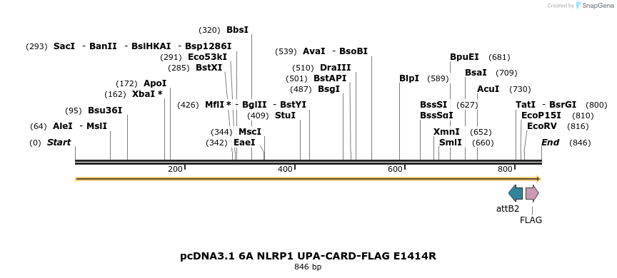 318204_map