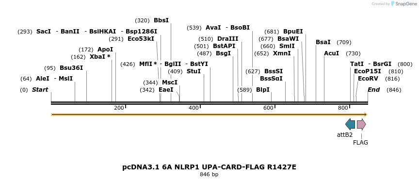 318205_map