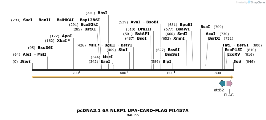 318207_map