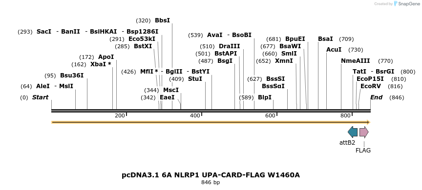 318208_map