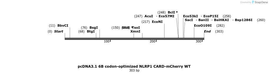 318210_map